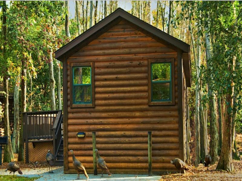 The Cabins At Disneys Fort Wilderness Resort Lake Buena Vista Exterior photo